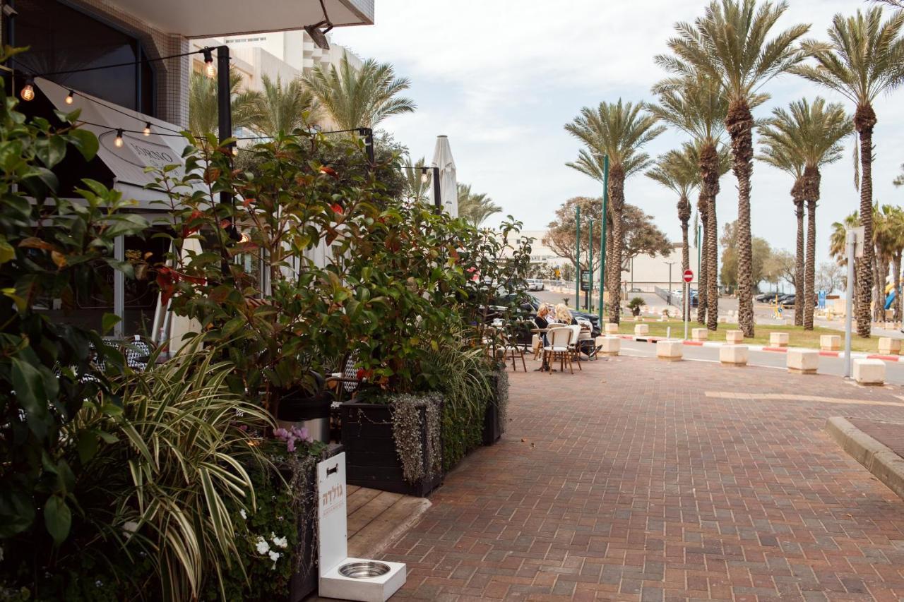 Cozy Studio "De Shalit" Herzliya Exterior photo